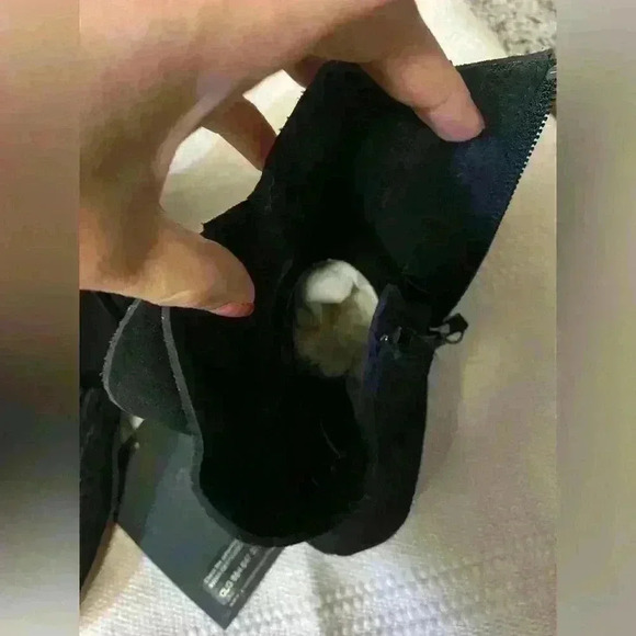 Giuseppe Zanotti Dalila Suede Fringe Boots - Picture 8 of 13